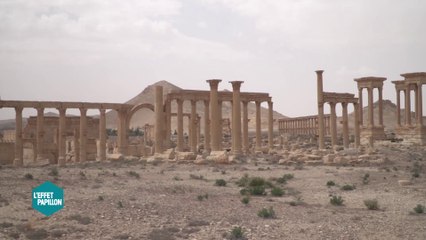 Teaser - Syrie : Avec l'armée russe à Palmyre - L'Effet Papillon du 17/04 - CANAL+