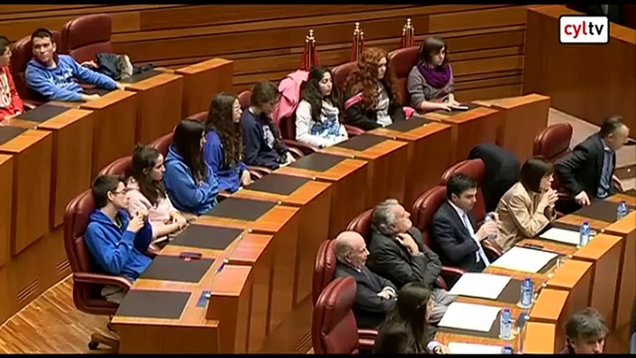 Representantes de la sociedad de Castilla y León leen 33 artículos en el aniversario del Estatuto