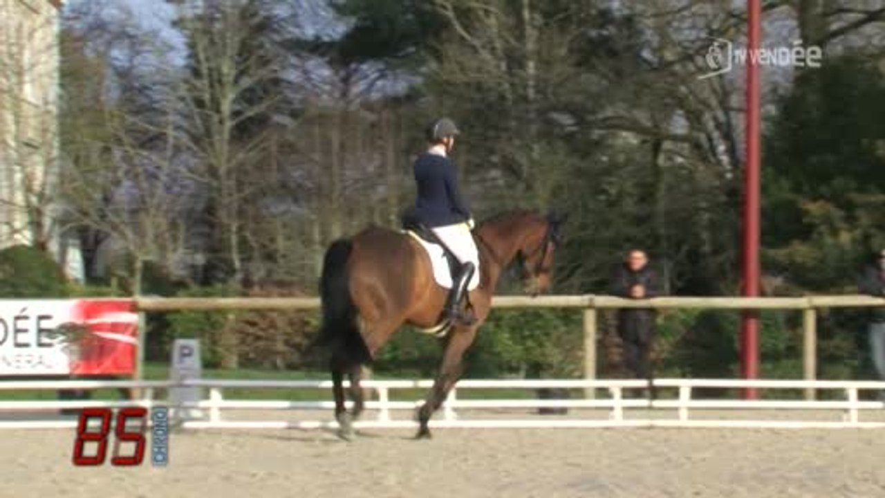 Équitation : Concours national de dressage (Ven...