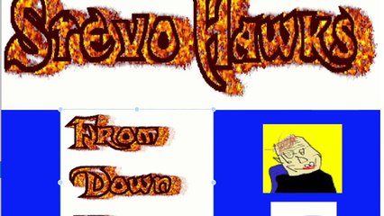 Stevo Hawks Job Interview