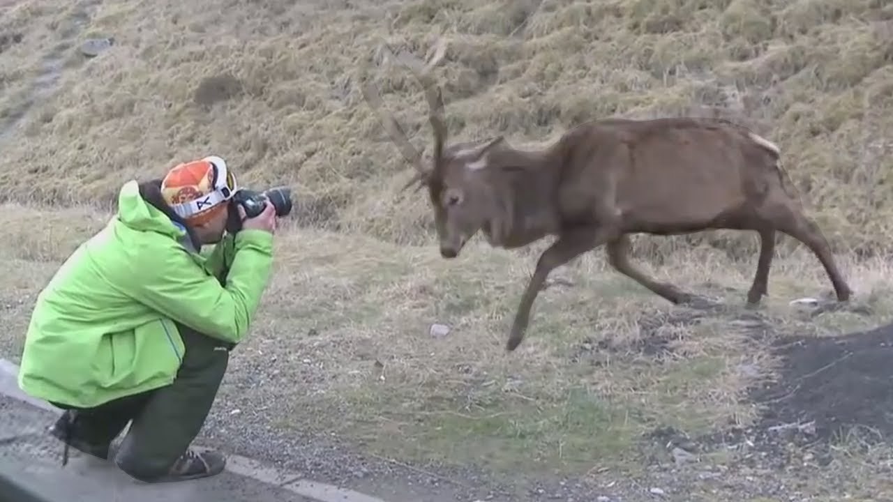 Best Fails of the Week 2 July 2013 -- FailArmy