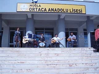 Hastane Önünde İncir Ağacı