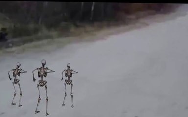 Just For Laugh 2016   Funny Animals Funny People  Best People