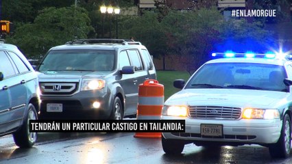 ¡Directo a la morgue! El curioso castigo para los conductores ebrios en Tailandia