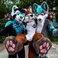 Trending on Vine FURRIES Vines Compilation July 14, 2015 Tuesday Night