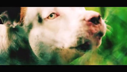 Jungleboy JD - From The City Ft. John Zoe (Official Music Video) (World Music 720p)