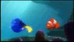 Finding Nemo - Trailers Teasers