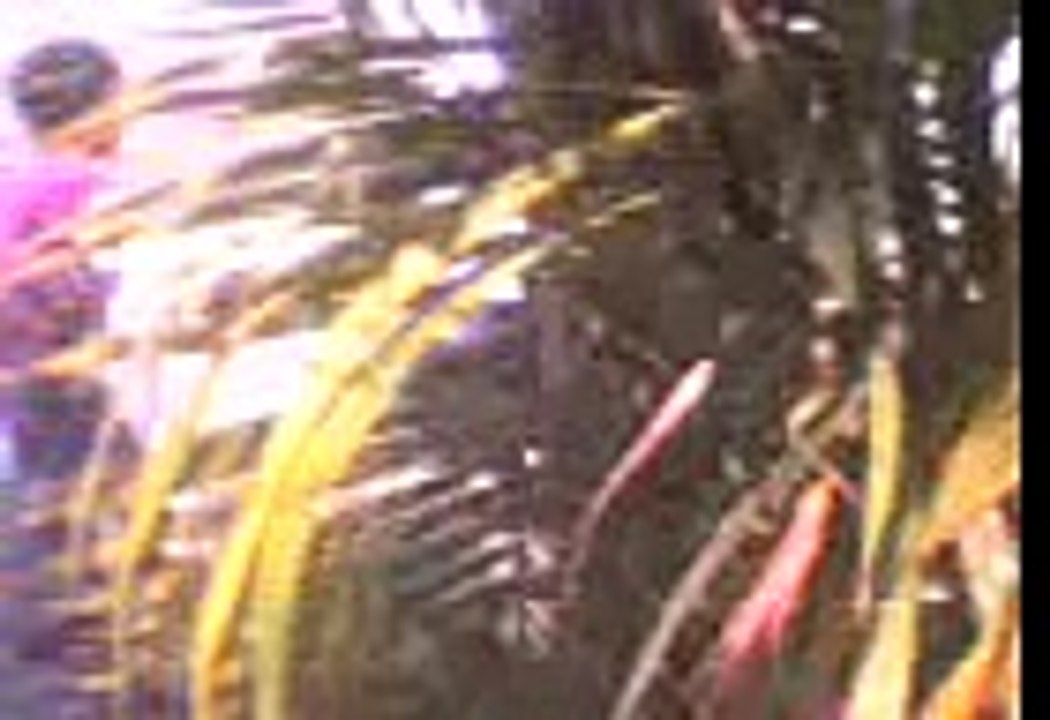 pelea de titanes(pelea salvaje)