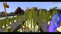 Lets Play: Minecraft Survival Ep. 12 / WHAT SHOULD I BUILD, NEED YOUR IDEAS!