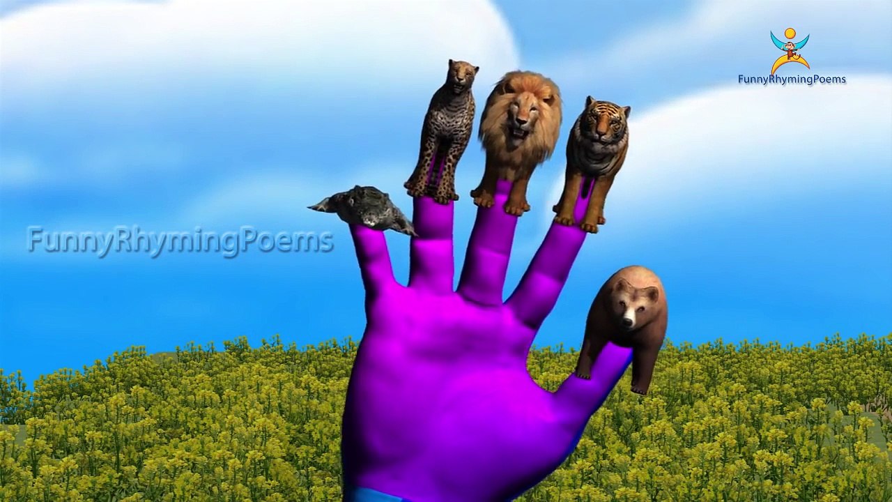 Tiger V/S Lion Finger family 3d rhyme | Animated Nursery Children Finger Family song