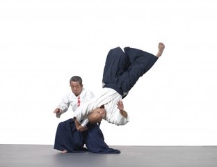 Técnicas Explosivas de Aikijujutsu