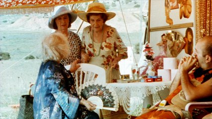 What swims and laughs