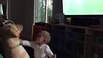 Baby Collins tries to distract Duece the dog during the USA women's vs Japan World Cup championships