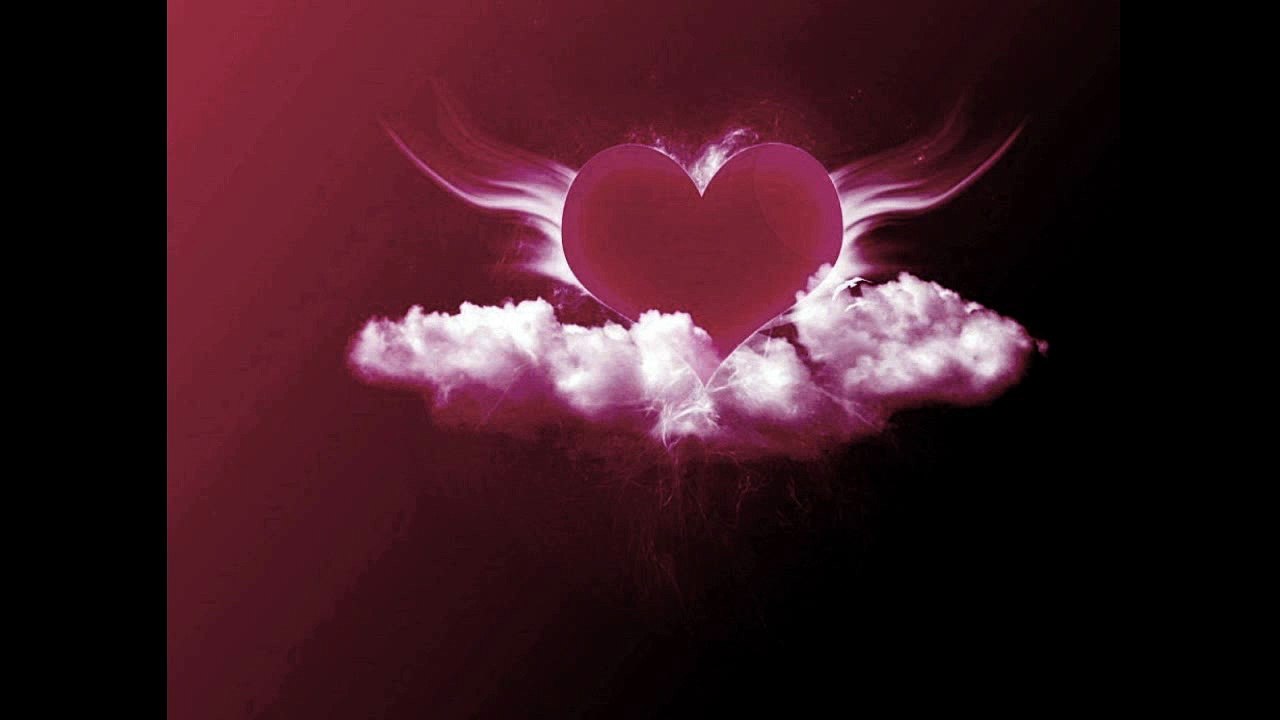 miza DL - amor