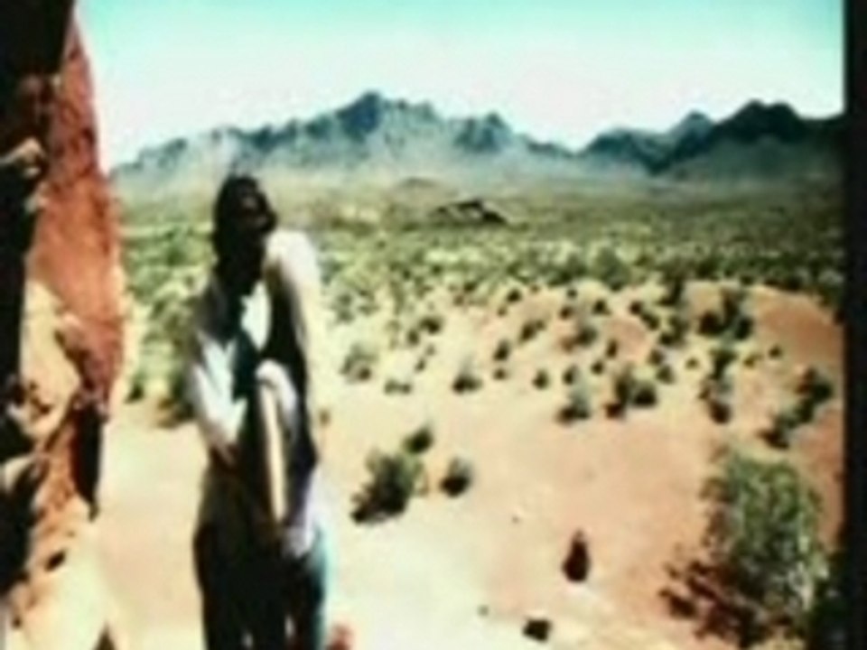 Sara Evans