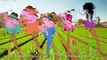 Farmer Peppa Pig Lollipop Finger Family Song Nursery Rhymes