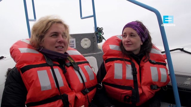 Atlantico Sur Ballena franca austral documental completo latino