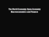 Download The World Economy: Open-Economy Macroeconomics and Finance Ebook Online