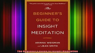 Read  The Beginners Guide to Insight Meditation  Full EBook