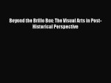 Read Beyond the Brillo Box: The Visual Arts in Post-Historical Perspective Ebook