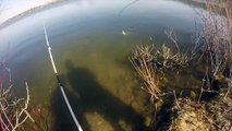 Pond Hopping for Bass and Pike