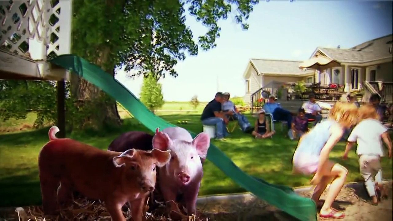 Rice, Apple, Goat, Recreational, Farming and Ranching Americas Heartland