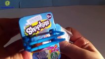 Shopkins Cicibiciler Oyuncak Sepeti Açımı