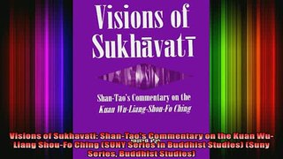 Read  Visions of Sukhavati ShanTaos Commentary on the Kuan WuLiang ShouFo Ching SUNY  Full EBook