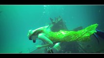 Underwater Fashion Shoot with Sharks