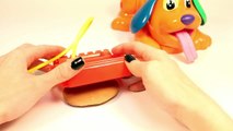 Play Doh Doggy Doctor Playdough Puppy Veterinary Hasbro Toys Review Part 5
