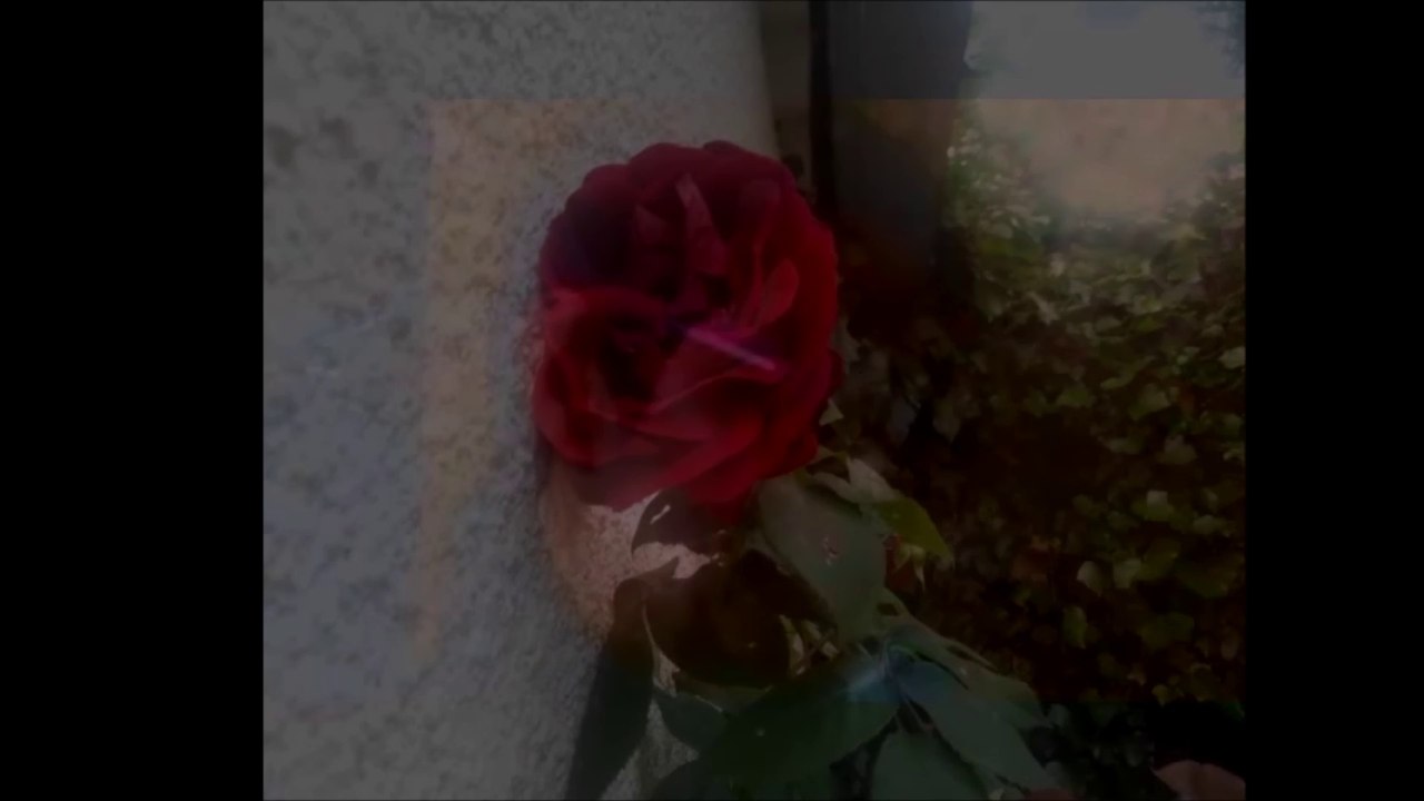 Un soir