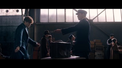 Fantastic Beasts and Where to Find Them - Teaser Trailer [HD]
