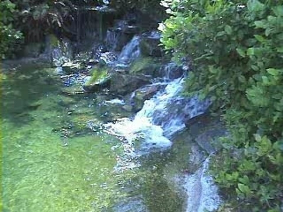 Tarot reading paris hilton webcam sexy talks about the futur