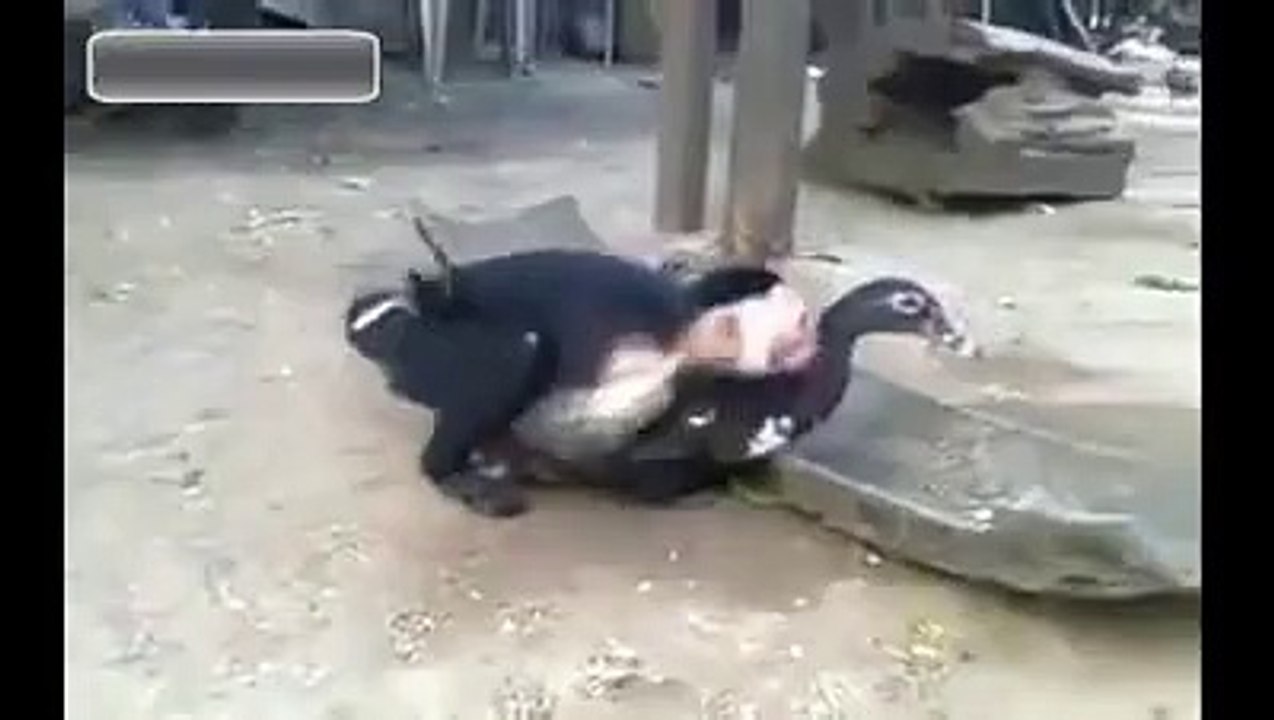Обезьянка полюбила птичку.