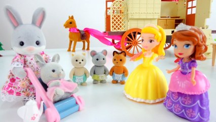 София прекрасная. Игра в прятки. Логопедические занятия. Видео для детей