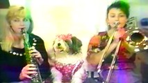Cute German Shepherd Dog Flipping Ears to Flo Rida Feat.T - Pain
