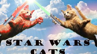 Jedi Cats - Trailer - Star Wars Parody - Jedi Kitt