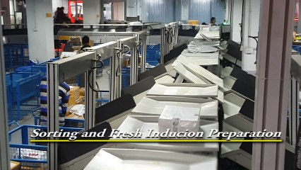 Tilt Tray Sorter by Falcon Autotech