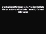 [Read book] Why Business Marriages Fail: A Practical Guide to Merger and Acquisition Risks