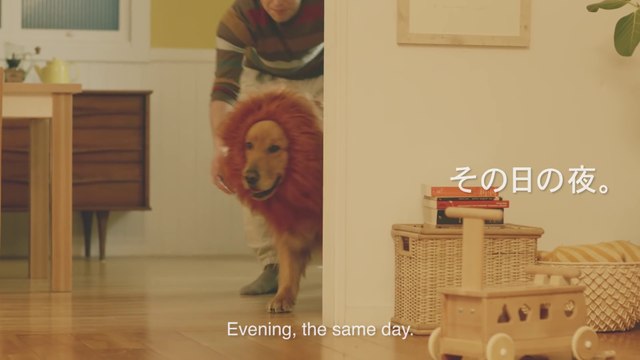 Bébé préfère sa peluche de lion que son gros chien bien vivant ! Pub Amazon