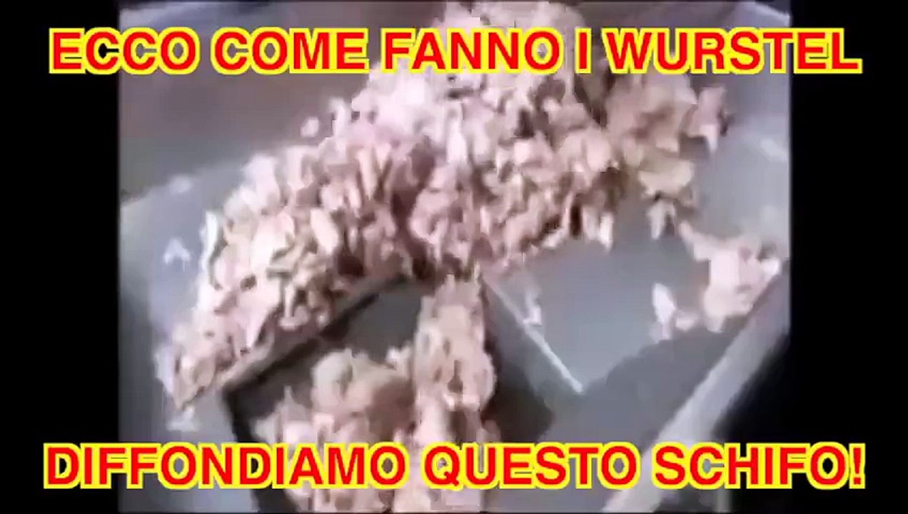 ECCO COME VENGONO FATTI I WURSTEL, UN VERO SCHIFO!