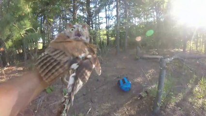 Il libère une chouette coincée dans une ligne de pêche