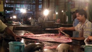 Fish Processing,Kolkata,India