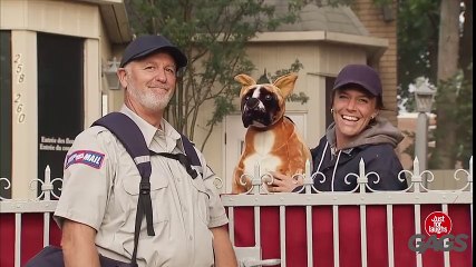 Crazy Mailman's Explosive Prank