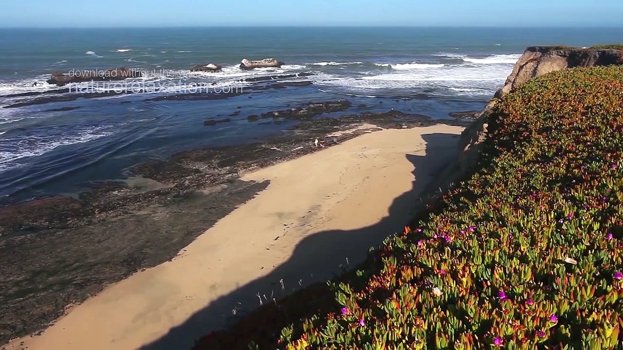 The California Coast (Full Version PURE NATURE) 1 HOUR Relaxation Video Slow TV HD