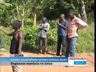 Headless chicken walking alive