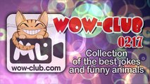 The Best Jokes and Funny Animals Compilation WOW-club #0217