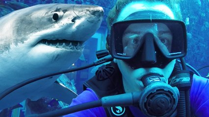 NORMAN-NORMAN À DUBAÏ (VLOG)