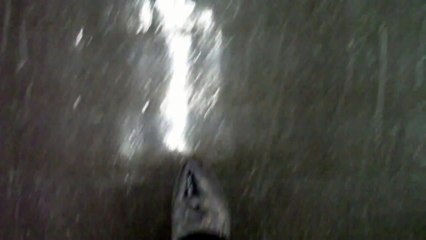 Sendra Boots Walking Triple Black