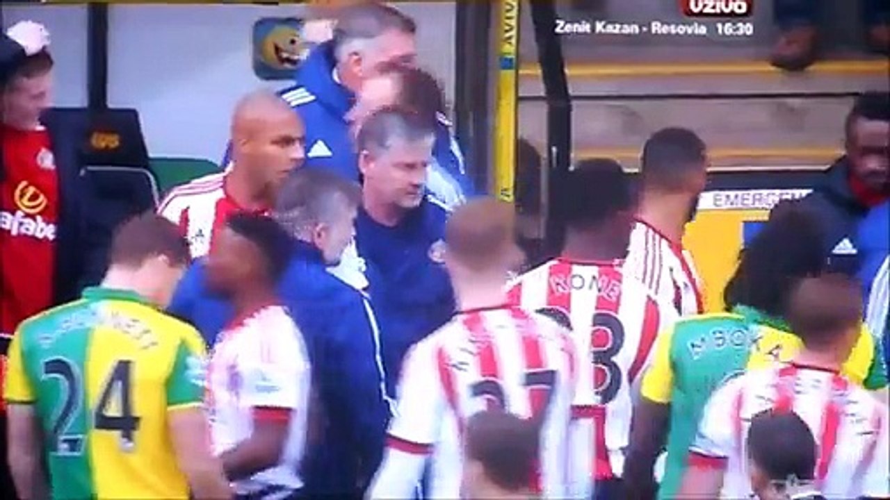 Sam Allardyce Pushes Cameron Jerome Away After Foul On Yedlin